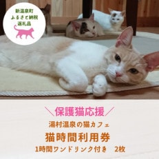 【保護猫応援】湯村温泉の猫カフェ 猫時間の1時間利用券(ワンドリンク付き)2枚【1422388】