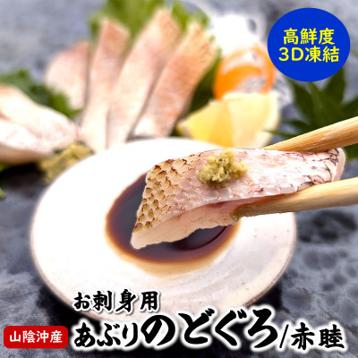 山陰沖 お刺身用あぶりノドグロ 2パック 高級魚 アカムツ 生食用【配送不可地域:離島】【1155814】