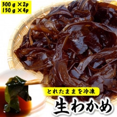とれたままを冷凍 漁師中村さんが育てた柔らかく歯ごたえ抜群 生わかめ(冷凍)【配送不可地域:離島】【1408230】