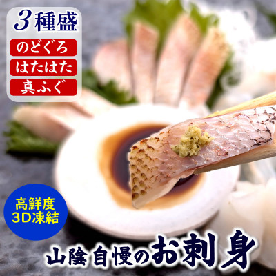 山陰のお刺身魚3点詰合せ(ノドグロ、ハタハタ、フグの3種)高級魚 赤睦 ふぐたたき とろはたはた【配送不可地域:離島】【1226483】