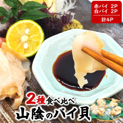 生食可・2種類のバイ貝むき身 各2パック(赤バイ、白バイ貝)【配送不可地域:離島】【1286882】