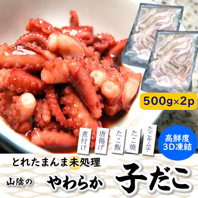 とれたまんまを急速冷凍 やわらか子ダコ(冷凍)500g×2袋 1kg 国産小だこ生 真空パック【配送不可地域:離島】【1413632】
