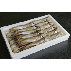 美味い、脂の乗った浜坂産一夜干しハタハタ1.0kg【配送不可地域：離島】【1120511】