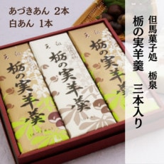 但馬菓子処 総本家 栃泉の「栃の実羊羹」あづきあん2本&白あん1本の3本セット【1435211】