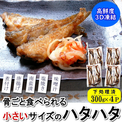 小さいサイズのハタハタ 計1.2kg(300g×4パック)下処理済 小分け 煮付け 塩焼き 唐揚げ【配送不可地域:離島】【1453858】