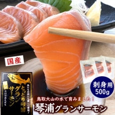 薬剤未使用で安心 国産とっとり琴浦グランサーモン刺身用 500g訳あり 小分け個包装で便利 ご当地【配送不可地域:離島】【1551135】
