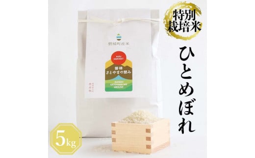 [先行予約]令和6年産 特別栽培米 ひとめぼれ 5kg