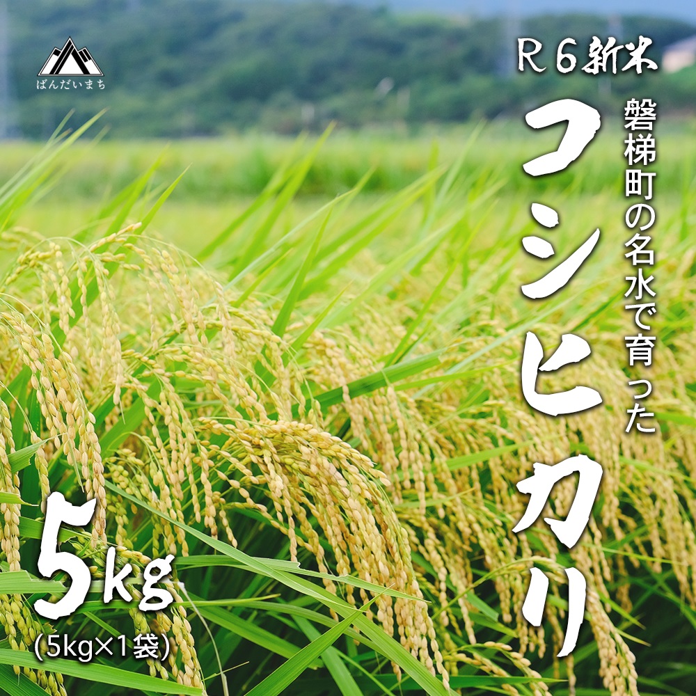 [予約受付][令和6年産米]コシヒカリ5kg 磐梯町の名水で育ったコシヒカリ ※2024年12月下旬頃より発送予定