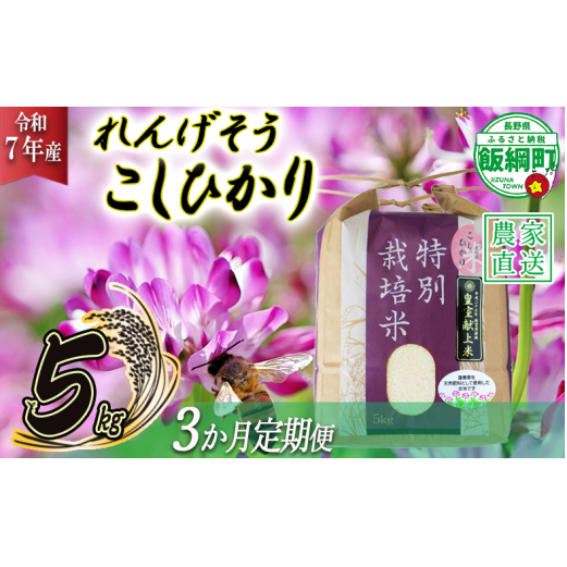 米 れんげそう こしひかり 5kg × 3回 【3ヶ月定期便】 ( 令和7年産 ) 特別栽培米 仲俣農園 2025年10月上旬頃から順次発送予定 コシヒカリ 白米 精米 お米 信州 79500円 予約 農家直送 長野県 飯綱町 [1926]