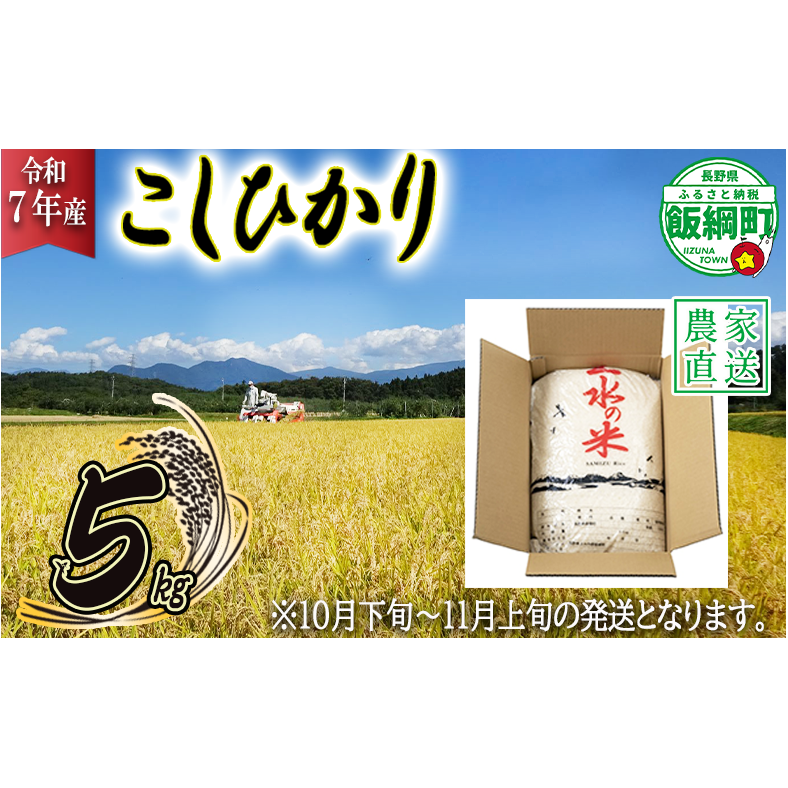 【 2025年10月下旬 ～ 2025年11月上旬 発送企画 】 米 こしひかり 5kg ( 令和7年産 ) 沖縄県への配送不可 2025年10月下旬頃から2025年11月上旬頃まで順次発送予定 株式会社マッシュアンドフルーツ コシヒカリ 白米 精米 お米 信州 予約 農家直送 長野県 飯綱町 [2013]
