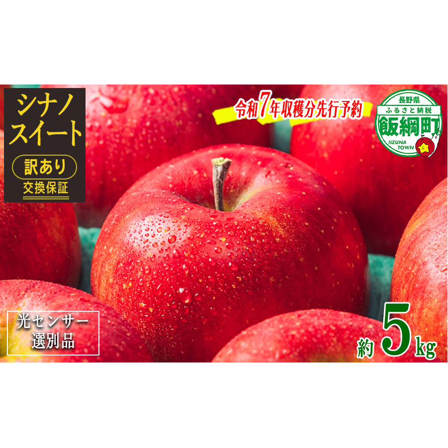 りんご ５Kg 【令和７年度先行予約】 果物 訳あり シナノスイート 長野県 感謝りんご 交換保証 規格外 傷あり ５キロ (１２から２５玉)  R7年10月頃から順次発送  飯綱町 [1205]