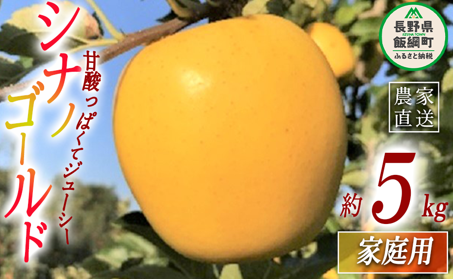 りんご シナノゴールド 家庭用 5kg ファームトヤ 沖縄県への配送不可 2025年11月中旬頃から2025年12月下旬頃まで順次発送予定 令和7年度収穫分 信州 果物 フルーツ リンゴ 林檎 長野 予約 農家直送 長野県 飯綱町 [1144]