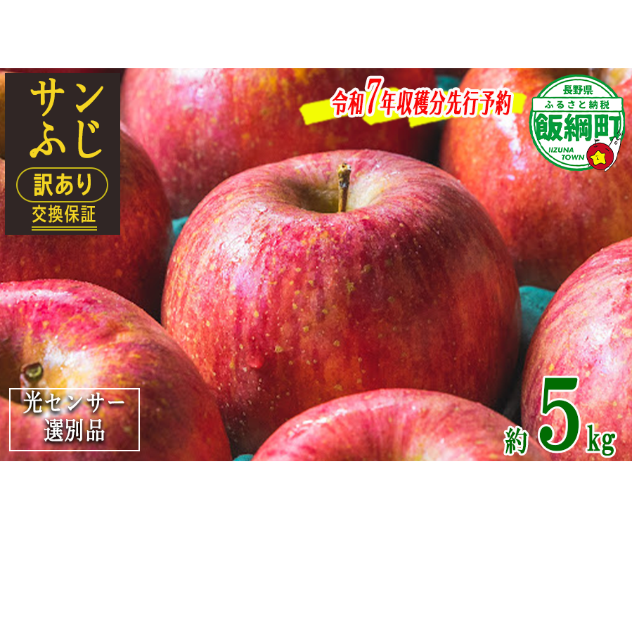 数量限定 奥州市のりんご定期便・3回(10月~12月) 江刺りんごや 数量限定 奥州市のりんご定期便・3回(10月~12月) 江刺りんごや
