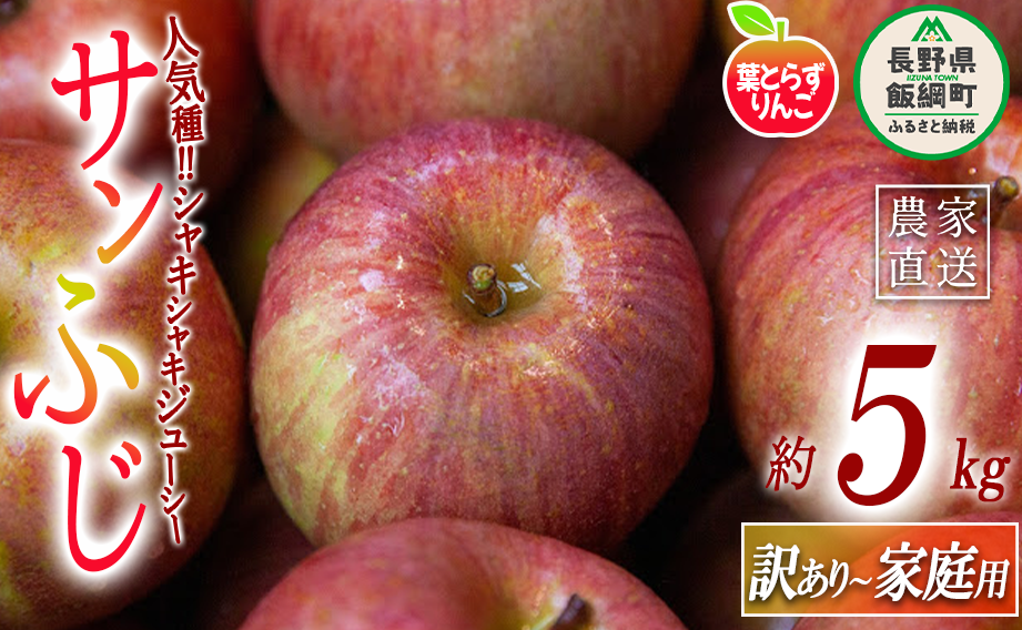 りんご 葉とらず サンふじ 家庭用 〜 訳あり 5kg フレッシュフルーツミカズキ 沖縄県への配送不可 2025年11月下旬頃から2026年1月下旬頃まで順次発送予定 令和7年度収穫分 傷 不揃い リンゴ 林檎 果物 フルーツ 信州 長野 17000円 予約 農家直送 長野県 飯綱町 [1668]