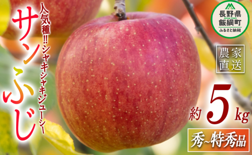 りんご サンふじ 秀 〜 特秀 5kg マルハ農園 沖縄県への配送不可 2025年12月上旬頃から2025年12月下旬頃まで順次発送予定 令和7年度収穫分 エコファーマー認定 信州 果物 フルーツ リンゴ 林檎 長野 19500円 予約 農家直送 長野県 飯綱町 [1637]