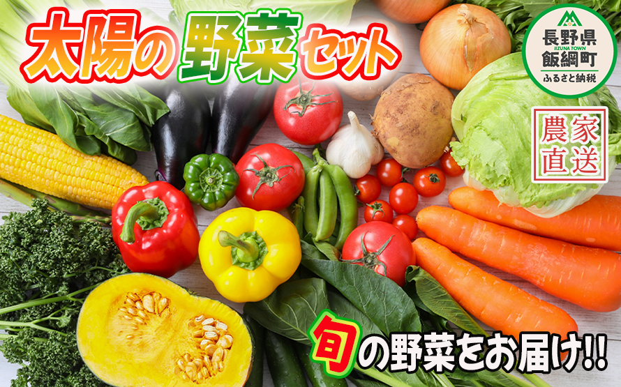野菜 太陽の野菜セット 【 季節ごと旬の野菜 】 配送先は本州限定 クール便 2025年7月上旬頃から2025年11月上旬頃まで順次発送予定 ビオ農産物 太陽の恵み ( 化学肥料 除草剤 不使用 ) 長野県 飯綱町 [0009]