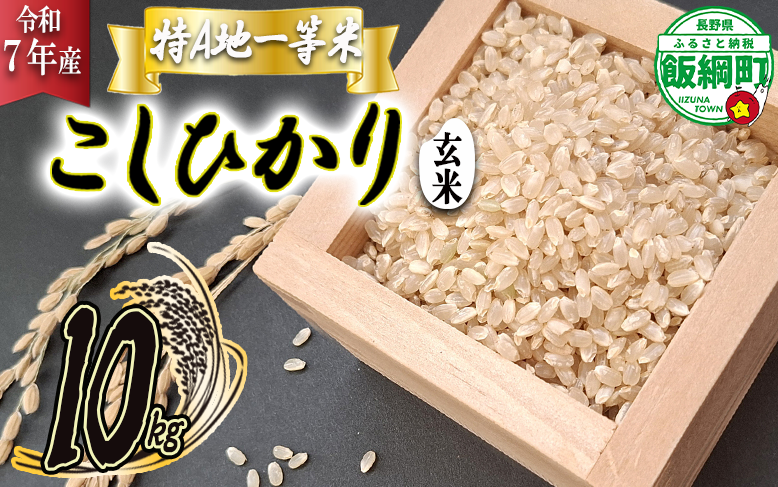 【 特A一等米 / コシヒカリ 】 玄米 こしひかり 10kg ( 令和7年産 ) ふるさと振興個社 2025年11月上旬頃から順次発送予定 コシヒカリ 玄米 お米 信州 予約 農家直送 長野県 飯綱町 [1560]