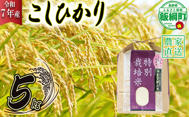 米 皇室献上実績 こしひかり 5kg ( 令和7年産 ) 特別栽培米 仲俣農園 2025年10月上旬頃から順次発送予定 コシヒカリ 白米 精米 お米 信州 23000円 予約 農家直送 長野県 飯綱町 [0669]