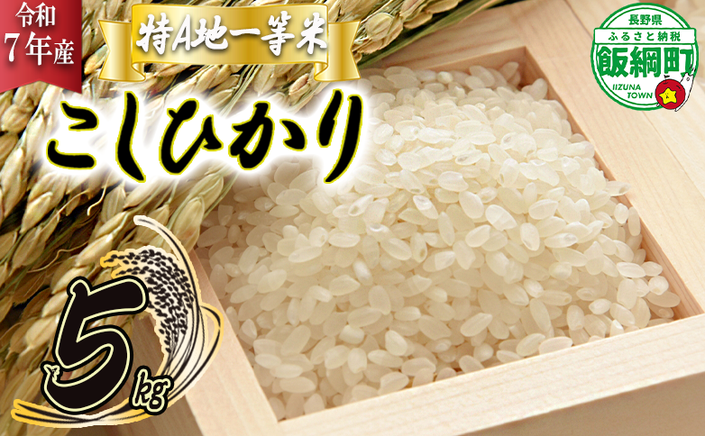 【 特A一等米 / コシヒカリ 】 精米 こしひかり 5kg ( 令和7年産 ) ふるさと振興個社 2025年11月上旬頃から順次発送予定 コシヒカリ 白米 精米 お米 信州 予約 農家直送 長野県 飯綱町 [0154]