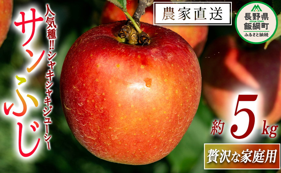 りんご サンふじ 贅沢な 家庭用 5kg 永野農園 沖縄県への配送不可 2025年12月上旬頃から2026年2月上旬頃まで順次発送予定 令和7年度収穫分 信州 果物 フルーツ リンゴ 林檎 長野 予約 農家直送 長野県 飯綱町 [0489]