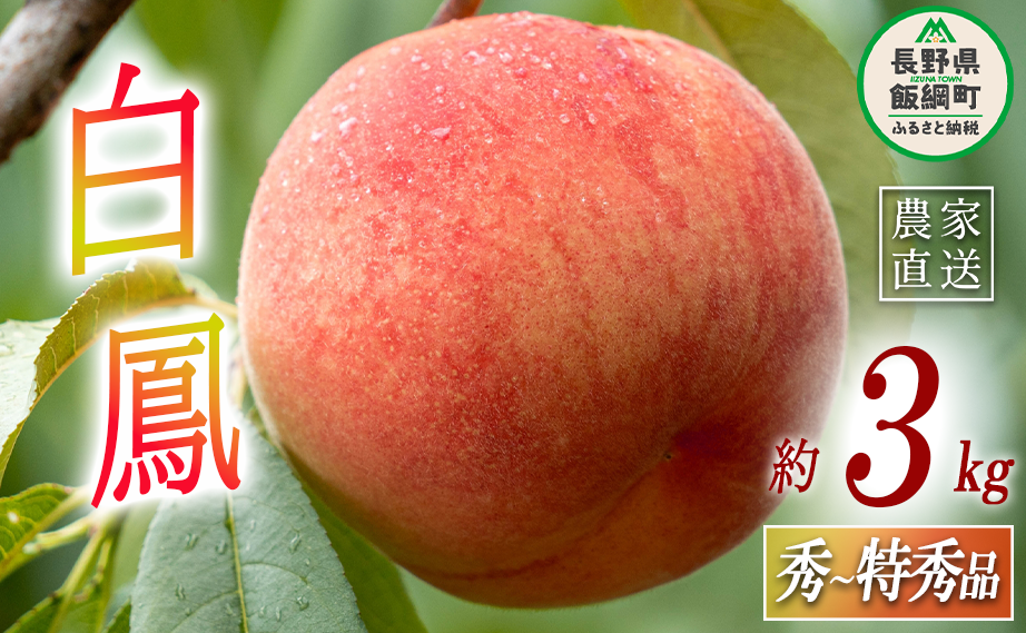 もも 白鳳 秀  特秀 約 3kg 大垣農園 配送先は本州限定 2023年8月上旬頃から2023年8月中旬頃まで順次発送予定 令和5年度収穫分 信州 果物 フルーツ モモ 桃 はくほう 長野 16000円 予約 農家直送 長野県 飯綱町 [0315]
