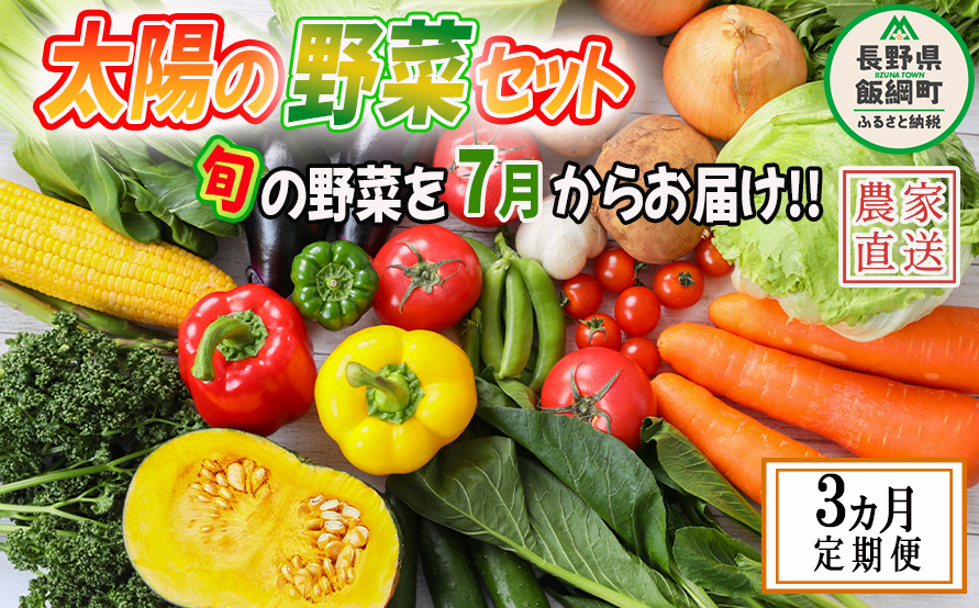 野菜 太陽の野菜セット 【 7月から 3か月 定期便 】 季節ごと旬の野菜 配送先は本州限定 2025年7月中旬頃から2025年9月中旬頃まで順次発送予定 ビオ農産物 太陽の恵み ( 化学肥料 除草剤 不使用 ) 長野県 飯綱町 [1040]