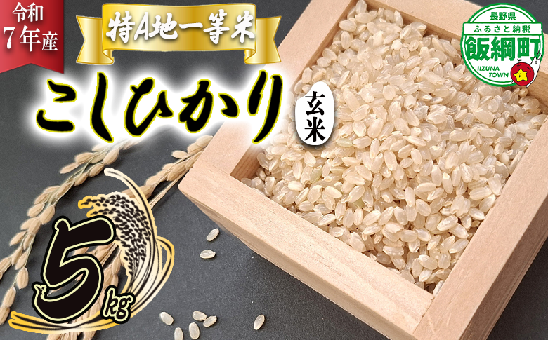【 特A一等米 / コシヒカリ 】 玄米 こしひかり 5kg ( 令和7年産 ) ふるさと振興個社 沖縄県への配送不可 2025年11月上旬頃から順次発送予定 コシヒカリ 玄米 お米 信州 予約 農家直送 長野県 飯綱町 [1559]