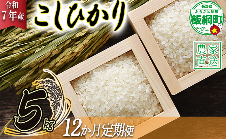 米 こしひかり 5kg × 12回 【 12か月 定期便 】( 令和7年産 ) 沖縄県への配送不可 2025年10月上旬頃から順次発送予定 米澤商店 コシヒカリ 白米 精米 長野県 飯綱町 [1351]