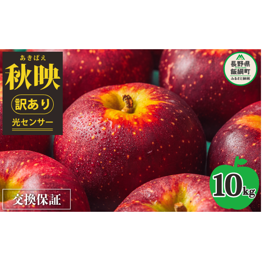 【 感謝りんご / 光センサー選別品 】 りんご 秋映 訳あり 10kg （ 24玉 〜 50玉 ） 交換保証 ながの農業協同組合 2025年10月上旬頃から2025年10月下旬頃まで順次発送予定 令和7年度収穫分 傷 不揃い リンゴ 林檎 果物 フルーツ 信州 長野 20000円 予約 長野県 飯綱町 [1203]