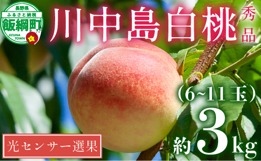 桃 川中島白桃 3kg 先行予約 2024年 秀品 光センサー 【 もも モモ 予約 白桃 果物 くだもの フルーツ 旬 長野 信州 17000円 17000 令和6年度 糖度保証 】 発送：2024年8月下旬～2024年9月中旬 沖縄県への配送不可 日時指定および不在指定不可 長野県 飯綱町 [1718]