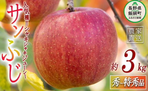 りんご サンふじ 秀 〜 特秀 3kg マルハ農園 沖縄県への配送不可 2025年12月上旬頃から2025年12月下旬頃まで順次発送予定 令和7年度収穫分 エコファーマー認定 信州 果物 フルーツ リンゴ 林檎 長野 13000円 予約 農家直送 長野県 飯綱町 [1636]