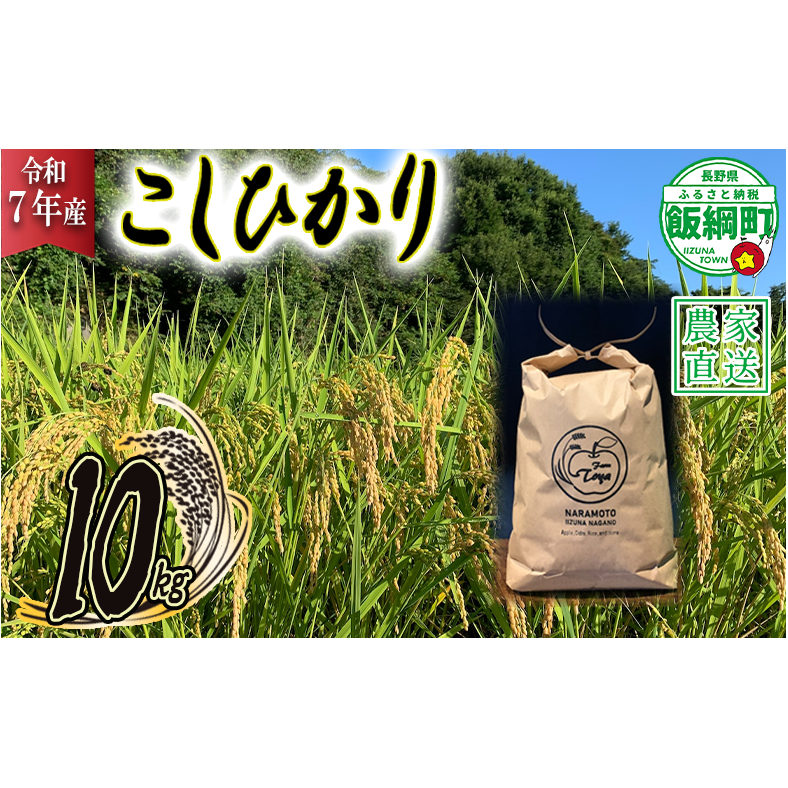 米 こしひかり 10kg ( 令和7年産 ) ファームトヤ 2025年10月上旬頃から順次発送予定 コシヒカリ 白米 精米 お米 信州 32000円 予約 農家直送 長野県 飯綱町 [1610]