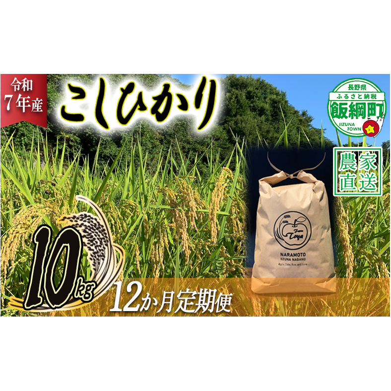 米 こしひかり 10kg × 12回 【 12か月 定期便 】( 令和7年産 ) ファームトヤ 2025年10月上旬頃から順次発送予定 コシヒカリ 白米 精米 お米 信州 384000円 予約 農家直送 長野県 飯綱町 [1612]