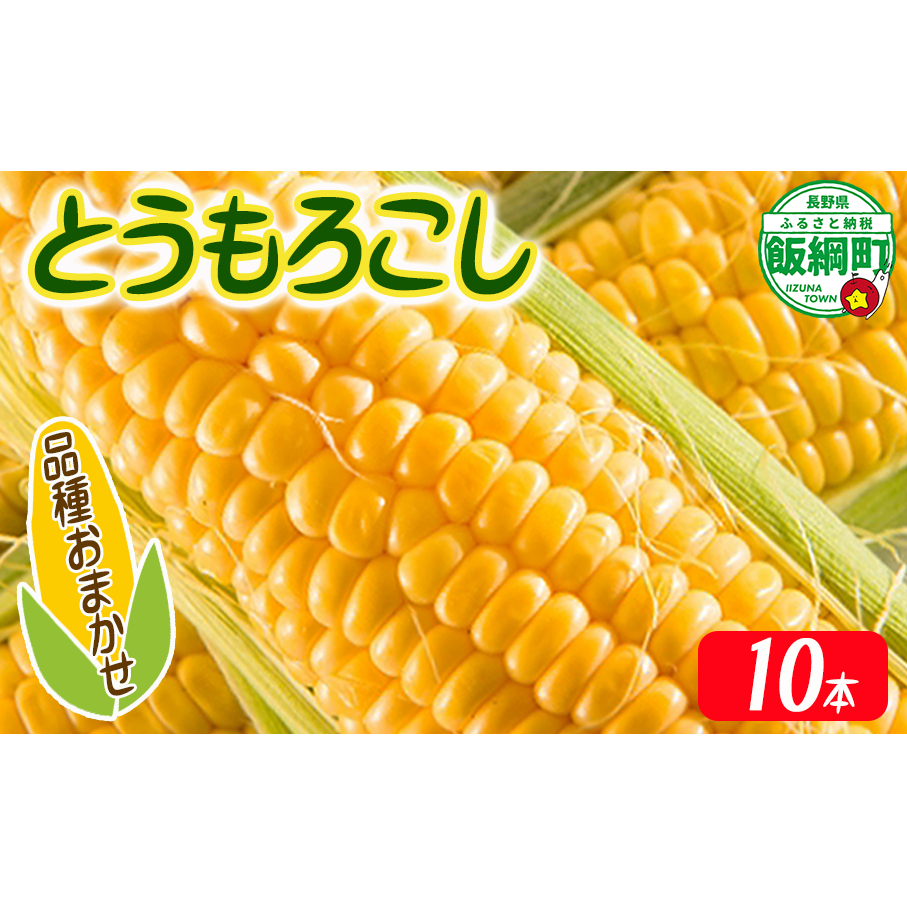 【 厳選品種 】 とうもろこし 10本 （ 品種おまかせ ） 配送先は本州限定 ふるさと振興公社 2025年8月下旬頃から2025年9月上旬頃まで順次発送予定 信州 トウモロコシ コーン ゴールドラッシュ ミルフィーユ グラビス ピーターコーン ハニーバンタム 長野県 飯綱町 [1841]