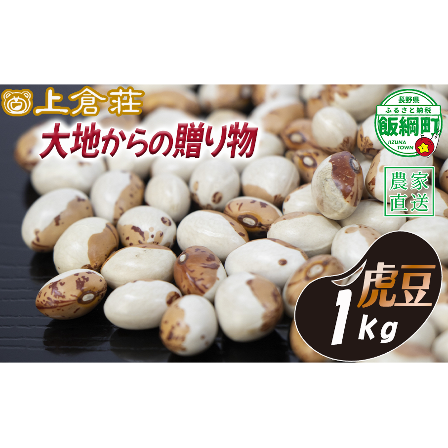 信州産 豆 虎豆 1000g 1kg 上倉荘 沖縄県への配送不可 2025年10月中旬頃から2026年2月上旬頃まで順次発送予定 信州 お豆 まめ マメ 野菜 9500円 長野県 飯綱町 [1859]