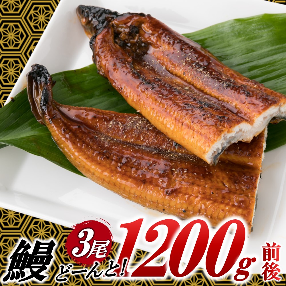 AB431.うなぎの蒲焼３尾（計１，２００ｇ前後）『１～２ヶ月前後でお届け！！』