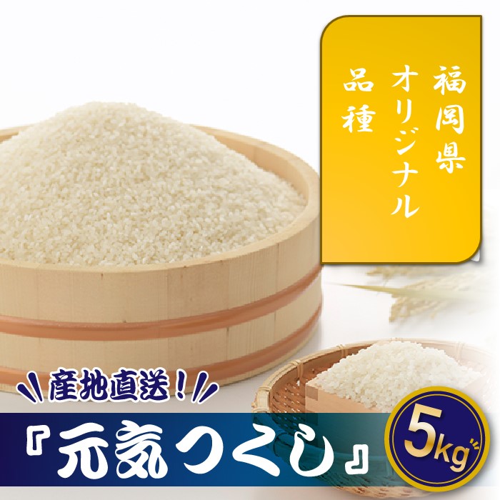 AD136.特Ａも獲得した自慢のお米『元気つくし』5kg【元気つくし】