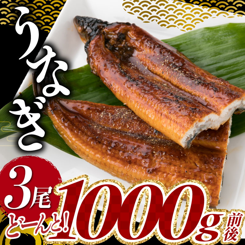 A1526.うなぎの蒲焼３尾（計１，０００ｇ前後）『１～２ヶ月前後でお届け！！』