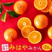 みはや 4年生 実つき 登録品種 ポリポット入り 楽天市場】みはや 苗の通販