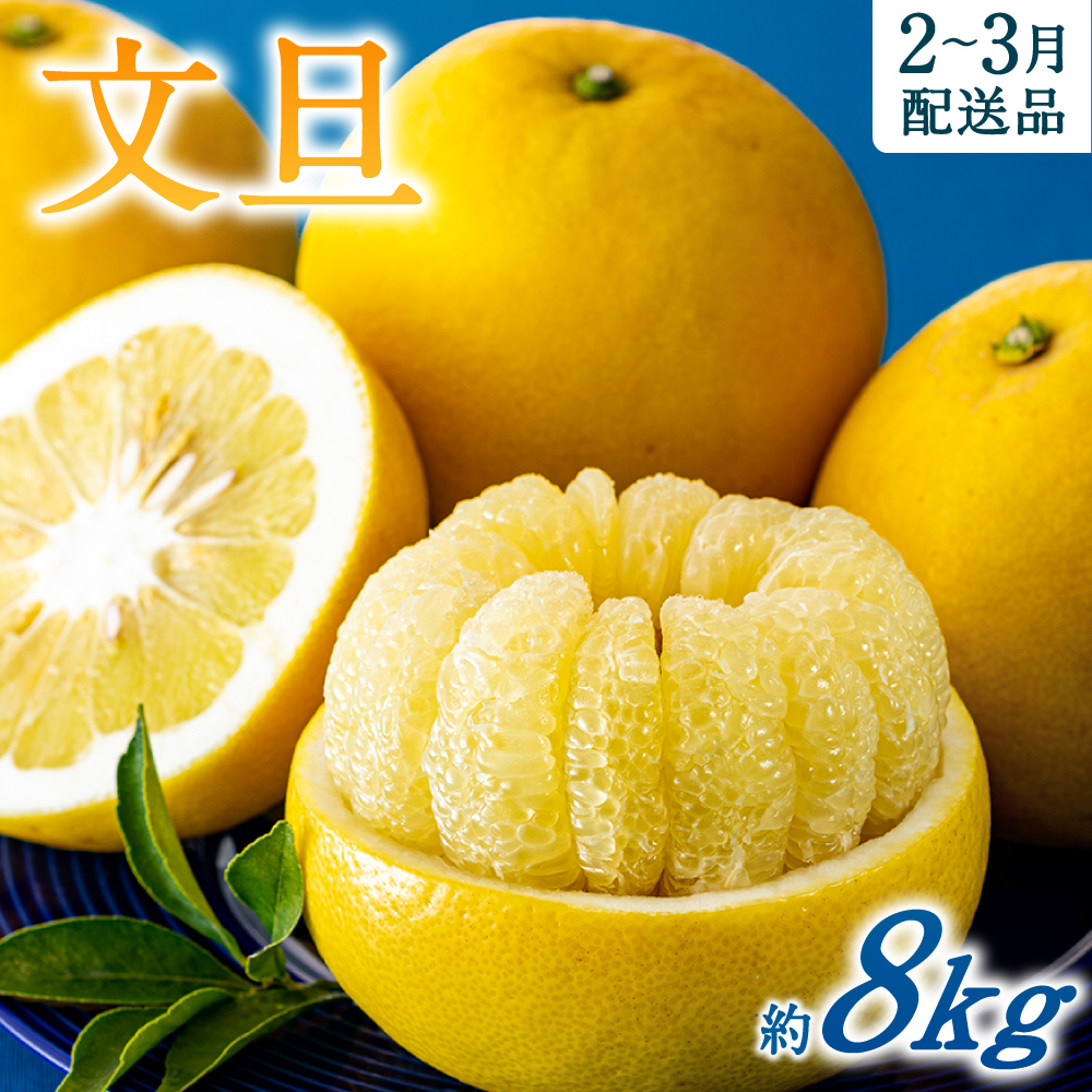AA092.【予約受付・期間限定商品】 福岡柑橘王国・文旦(2026年2月~3月配送予定)