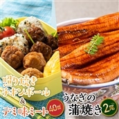 A1440.うなぎの蒲焼２尾＆デミ味ミート＆照り焼きチキンボール４０個（２種×２０個）【新宮町レインボーセット】
