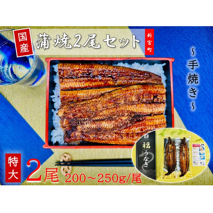 B332.国産うなぎ蒲焼2尾（計400～500g）
