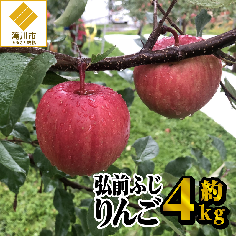 【令和7年出荷受付】弘前ふじりんご 約4kg |先行受付 数量限定 りんご 林檎 北海道 フルーツ