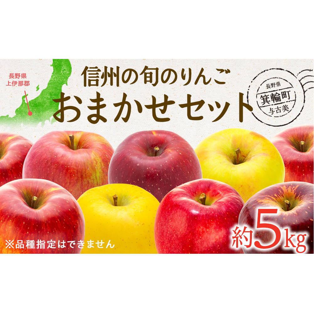 【2025年/令和7年度発送分 】信州の旬のりんご おまかせ 約5kg りんご リンゴ 林檎 長野 フルーツ 果物 信州産 長野県産 特産 産地直送 おすすめ 