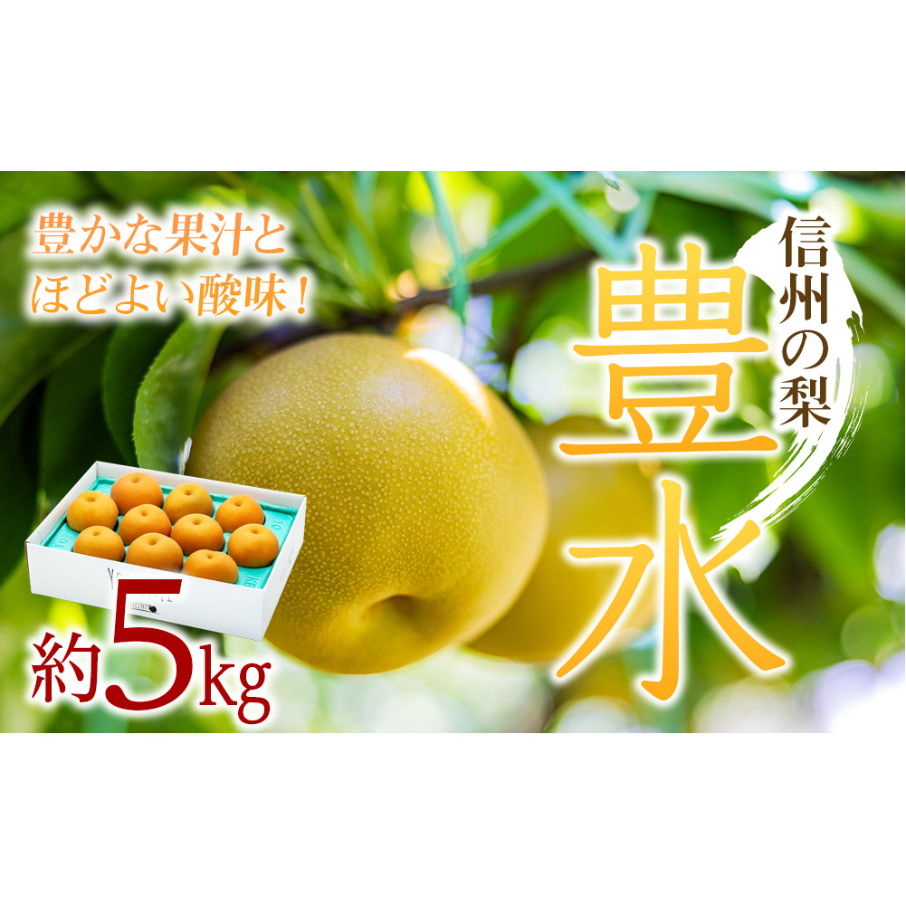 梨 豊水 約5kg 2026年 令和8年発送分 信州の梨 フルーツ 果物 デザート なし ナシ ほうすい ホウスイ 産地直送 長野県 信州産