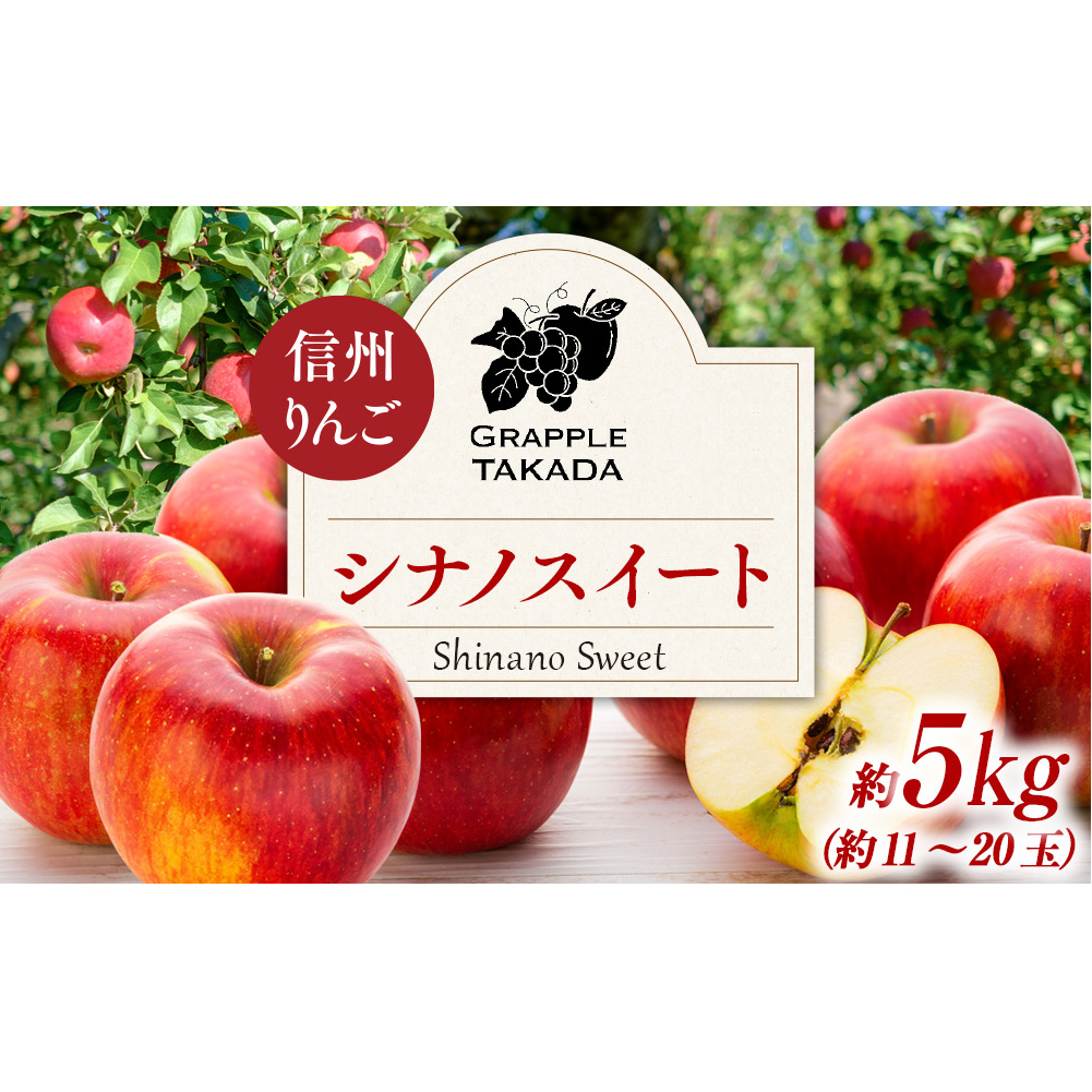 信州りんご シナノスイート 5kg ※クレジット決済限定 りんご リンゴ 林檎 長野 フルーツ 果物 信州産 長野県産 特産 産地直送 おすすめ