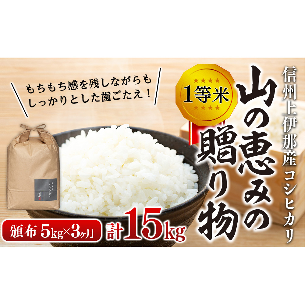 【令和7年産】３ヶ月連続お届け 定期便 信州産 コシヒカリ 1等米 「山の恵みの贈り物」 5kg 計15kg （ お米 コシヒカリ 白米 搗きたて米 低温貯蔵米 食品 ) 長野県　箕輪町 
