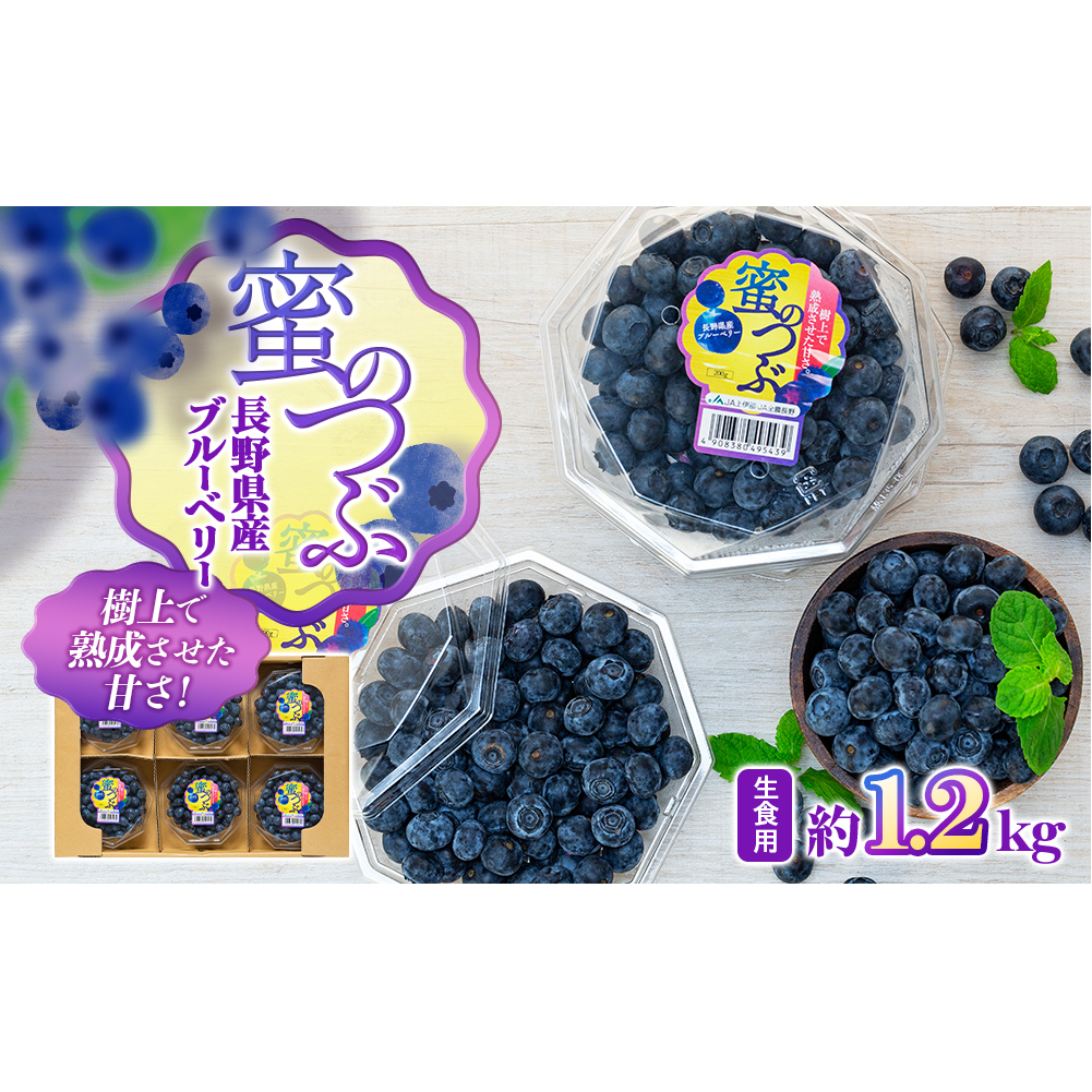 上伊那産ブルーベリー(200g×6袋) 果物 詰合せ フルーツ 生食用 1.2kg 大粒 甘酸っぱい