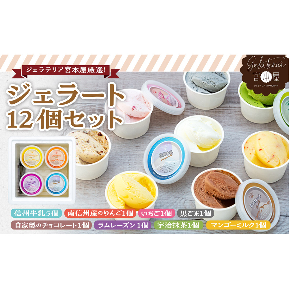 ジェラート 12個 セット 詰め合わせ ジェラテリア宮本屋厳選 アイス シャーベット ジェラテリア宮本屋 砂糖控えめ ヘルシー 信州牛乳 りんご いちご 黒ごま チョコレート ラムレーズン 抹茶 宇治 マンゴーミルク アルフォンソマンゴー