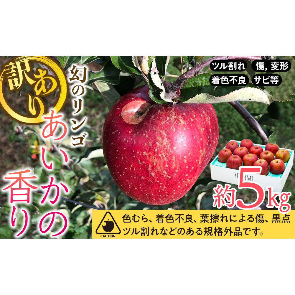 訳あり りんご あいかの香り 約5kg セット 2025年 令和7年度発送分 リンゴ 林檎 長野 フルーツ 果物 信州産 長野県産 特産 産地直送 家庭用 おすすめ 